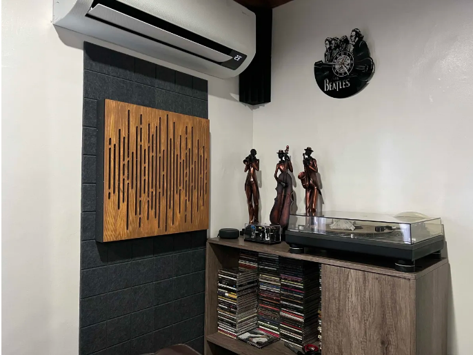 Decorative Echo Absorption & Diffusion Panel